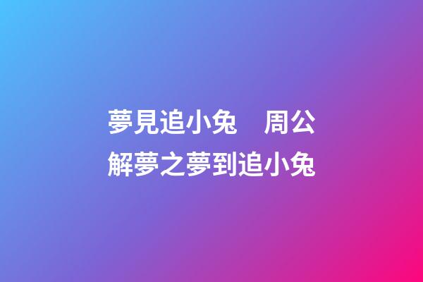 夢見追小兔　周公解夢之夢到追小兔